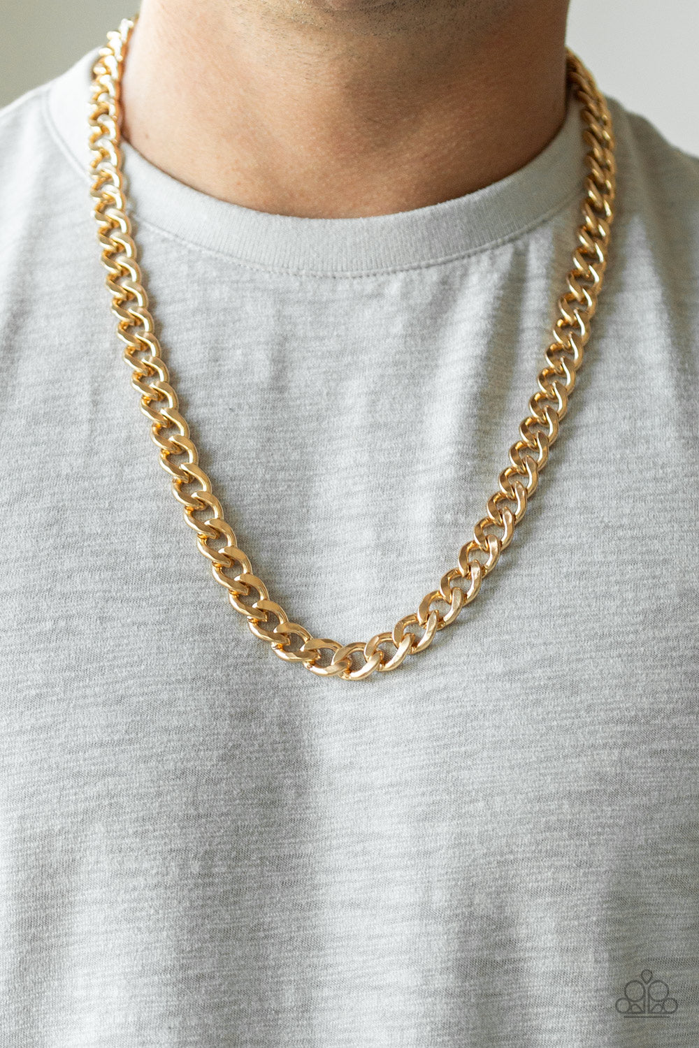 Alpha Gold Chain Necklace Paparazzi Accessories